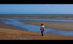 Walk along the beach Wallpaper