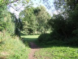 Bullpit Meadows, Crickhowell Wallpaper