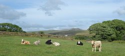 St Breward towards Rough Tor Wallpaper