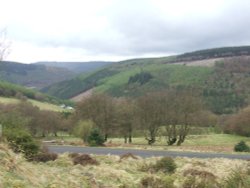 Cwmcarn Forest Drive Wallpaper