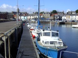 Row of Boats Wallpaper