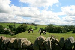 Brought, Cumbria. Wallpaper