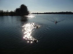 Tattershall Lakes Country Park Wallpaper