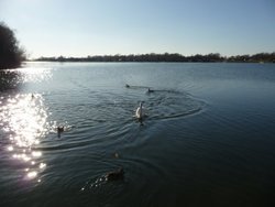 Tattershall Lakes Country Park Wallpaper