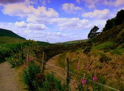 Crowden Walk Wallpaper