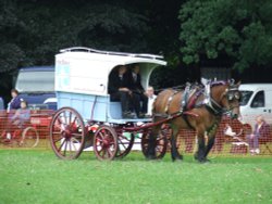 Abergavenny Shire Horse Show Wallpaper