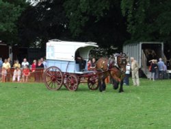 Abergavenny Shire Horse Show Wallpaper