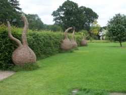 The Wisley Triffids Wallpaper