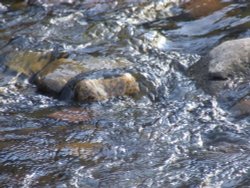 River Usk Crickhowell Wallpaper