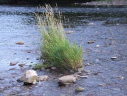 River Usk Crickhowell Wallpaper