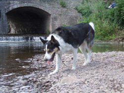 Crickhowell Bridge Wallpaper