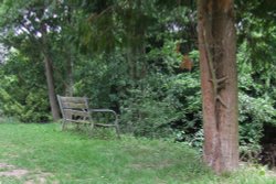 Bench on the River Monnow at Clodock Wallpaper