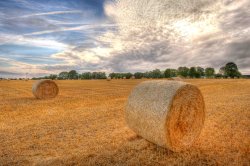 Hay field Wallpaper