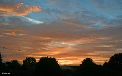 Stour Valley Summer