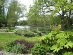 Garden Scene at Fish Farm in Bibury