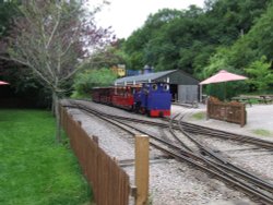 Perrygrove Railway and Treetop Adventure Wallpaper