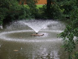 Newent lake and park Wallpaper