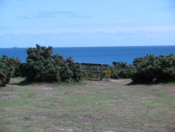 Dunwich Heath Wallpaper