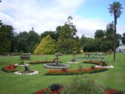 Bicton Park Botanical Gardens in Budleigh Salterton Wallpaper