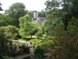 Bicton Park Botanical Gardens in Budleigh Salterton Wallpaper