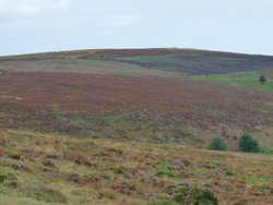 Quantock Hills Wallpaper