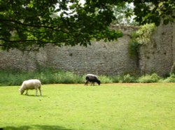 A view of Mettingham Castle Walls Wallpaper