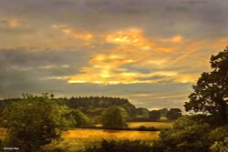 Stour Valley Summer