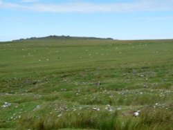 Dartmoor, Devon Wallpaper