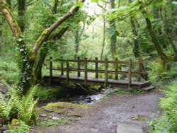 St. Nectan's Glen (Near Tintagel) Wallpaper