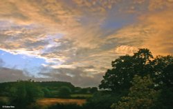 Stour Valley Summer