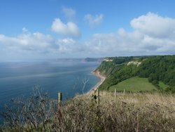 Branscombe Wallpaper