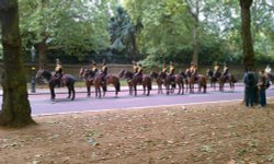 Horse Guards Wallpaper