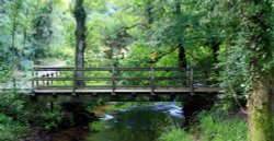 Forge Valley footbridge