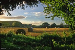 Stour Valley Summer