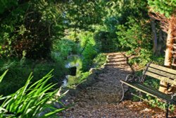 Stour Valley Summer