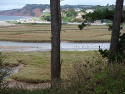 Budleigh Salterton Wallpaper