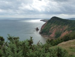 Ladram Bay