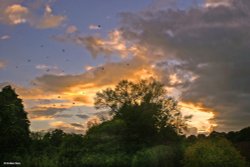 Stour Valley Summer