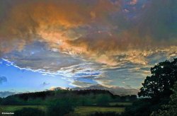 Stour Valley Summer