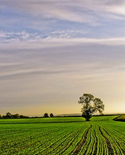 Clifton, South Yorkshire