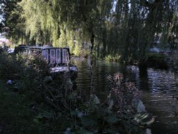 Autumn on the Avon and Kennet Wallpaper