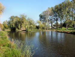 A view of Fen Park Wallpaper