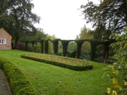 A hedge in the Museum gardens Wallpaper