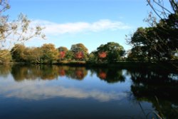 The Lake at Nidd. Autumn is starting to show its colours. Wallpaper