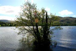 The Shores of Ullswater. Wallpaper