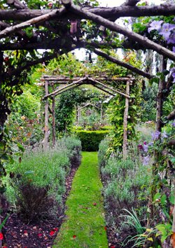 Pergola in The Priory's gardens