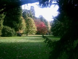 Westonbirt Arboretum - October 2010 Wallpaper