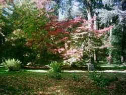 Westonbirt Arboretum - October 2010 Wallpaper