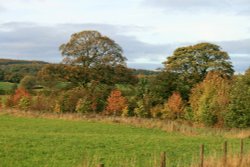 Gateshead, Autumn Colours. Wallpaper