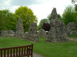 Abbey gardens in Bury St Edmunds Wallpaper